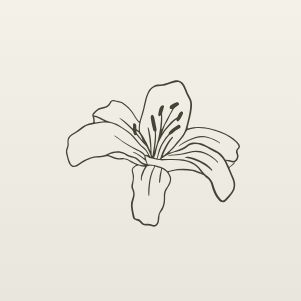 Paket Rundum-Glück für Hochzeiten